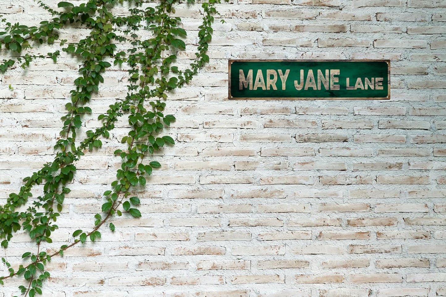 Vintage Tin Sign Retro Metal Mary Jane Lane Signs Stylish Wall Art Plaques for Home Decor Bathroom Kitchen House and Gothic Wall Decor or as a Unique Poster 16x4 in