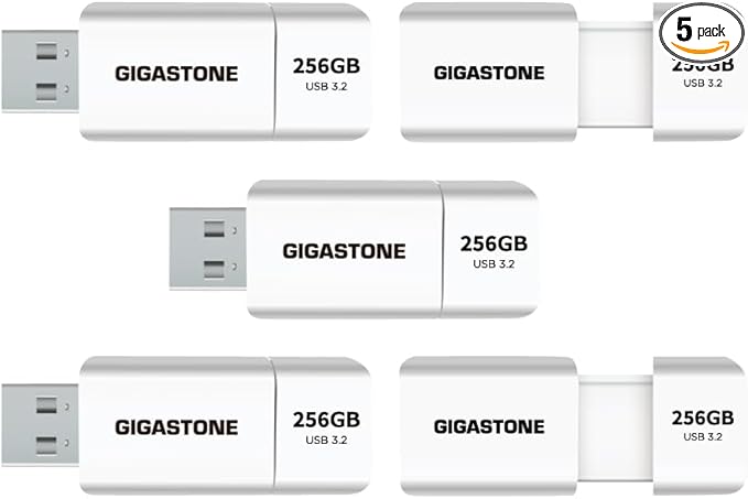 GIGASTONE 256GB Flash Drive Z60 USB 3.2 Gen 1, 120MB/s Ultra Fast, Retractable by Gigastone