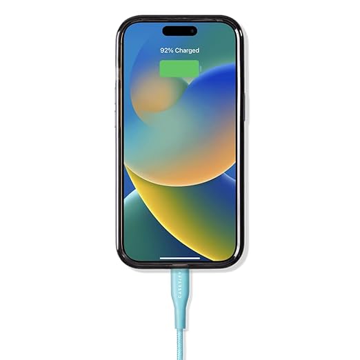 CASETiFY Powerthru USB-C to USB-C Cable - Image 3
