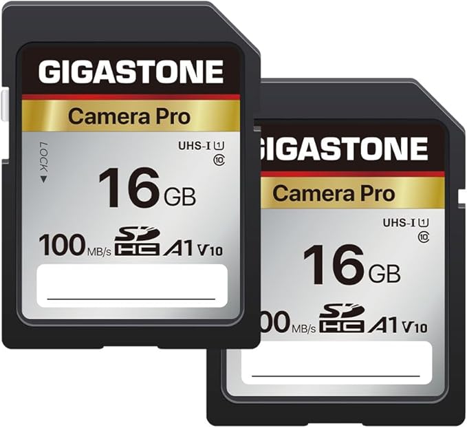 GIGASTONE 16GB SD Card 2-Pack, Camera Pro, A1 V10 SDHC Memory Card Compatible by Gigastone