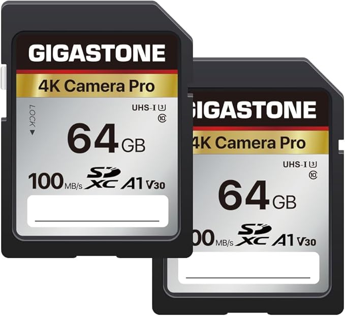 GIGASTONE 64GB SD Card 2-Pack, 4K Camera Pro, A1 V30 SDXC Memory Card 4K UHD by Gigastone