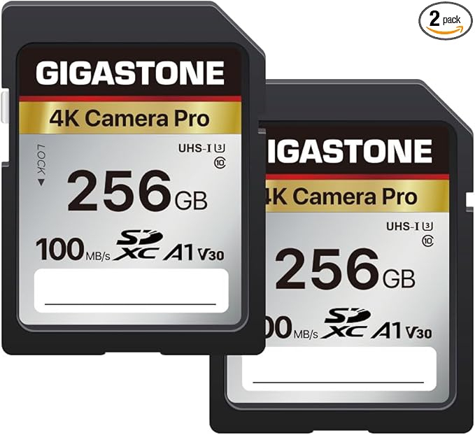 GIGASTONE 256GB 2-Pack SD Card, 4K Camera Pro, A1 V30 SDXC Memory Card 4K UHD by Gigastone