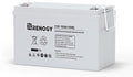 Renogy Deep Cycle AGM 12 Volt 100Ah Battery, 3% Self-Discharge Rate, 1100A Max by RenogySolar