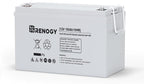 Renogy Deep Cycle AGM 12 Volt 100Ah Battery, 3% Self-Discharge Rate, 1100A Max by RenogySolar