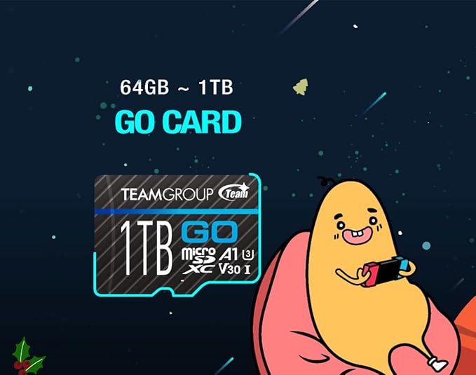 TEAMGROUP GO Card 128GB x 2 Pack Micro SDXC UHS-I U3 V30 4K - Image 6