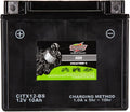 Interstate Batteries YTX12-BS 12V 10Ah Powersports Battery 175CCA AGM by InterstateBatteries