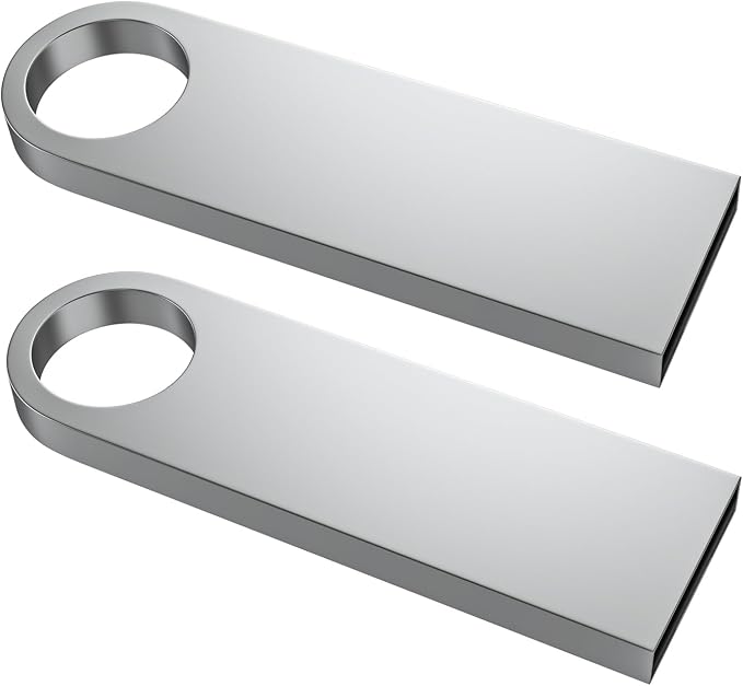 ABLAZE 64GB Flash Drive 2 Pack, Metal USB 2.0 Thumb Drives by ABLAZEGlobal