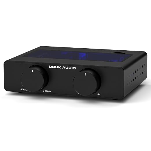 Douk Audio A5 2 Channel TPA3255 Stereo Amp, 300 Watts x2 Mini Hi-Fi Audio Power by DoukAudioNobsound