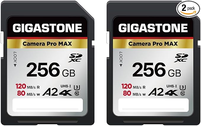 GIGASTONE 256GB 2-Pack SD Card, 4K Camera Pro MAX, A2 4K SDXC Memory Card High by Gigastone