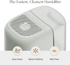 Canopy Bedside Humidifier 2.0, Moonstruck, 36 HR Run Time, 2.5L Capacity - Image 2