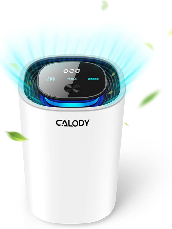 Calody Air Purifiers for Bedroom Home, Car air purifier Ionizer, 15 Million by Calody