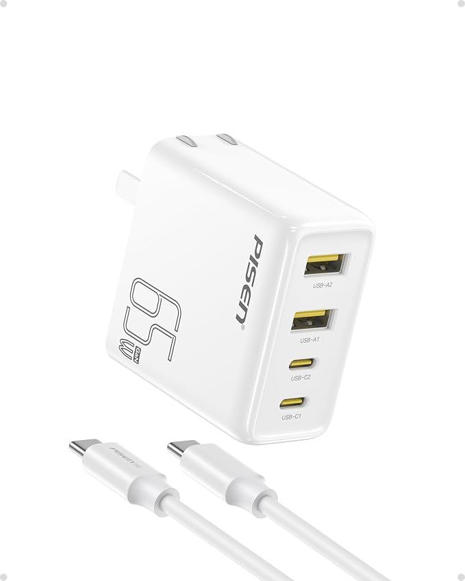 PISEN 65W USB C Fast Charger - 4FT USB-C Cable by PISEN
