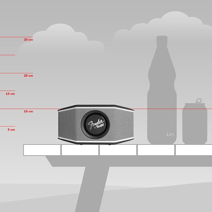 Fender x Teufel ROCKSTER GO 2 Portable Bluetooth Speaker – Powerful Sound - Image 2