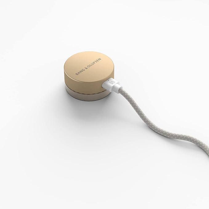 Bang & Olufsen Beosound Level Portable Wi-Fi Multiroom Speaker - Image 20