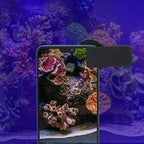 Zerodis Fish Photography Lens, Smartphone Camera Lens Filter Accessories - Image 4