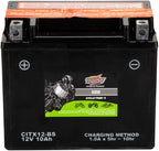 Interstate Batteries YTX12-BS 12V 10Ah Powersports Battery 175CCA AGM - Image 2