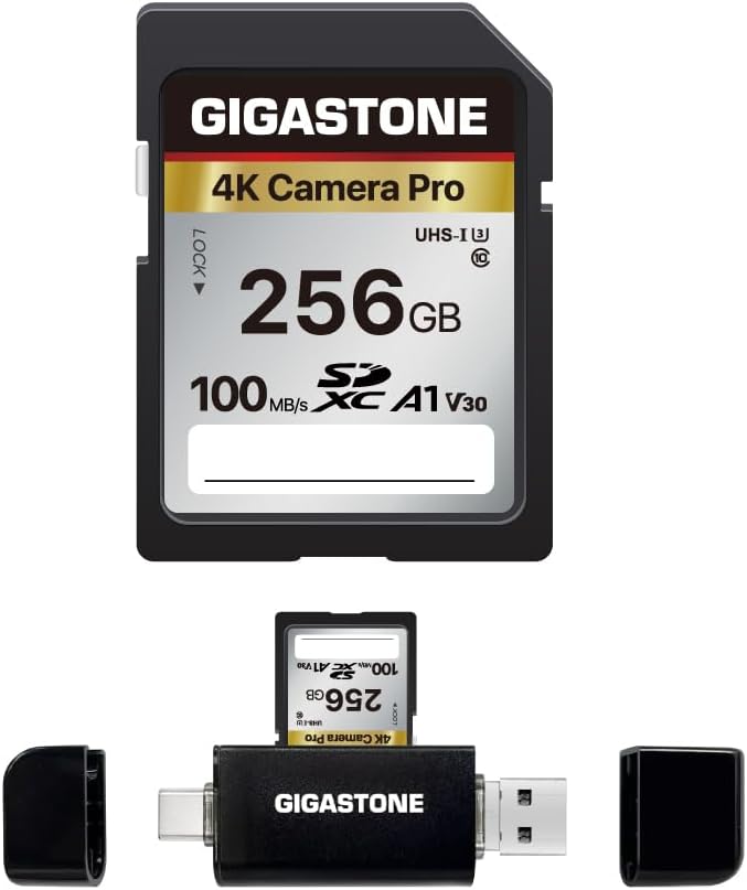 GIGASTONE 256GB SD Card with USB Type C Card Reader, 4K Camera Pro, A1 V30 U3 by Gigastone