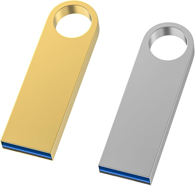 USB 3.0 Flash Drive 64GB 2 Pack, Wooolken High Speed USB 3.0 Thumb Drives Sleek by WOOOLKEN