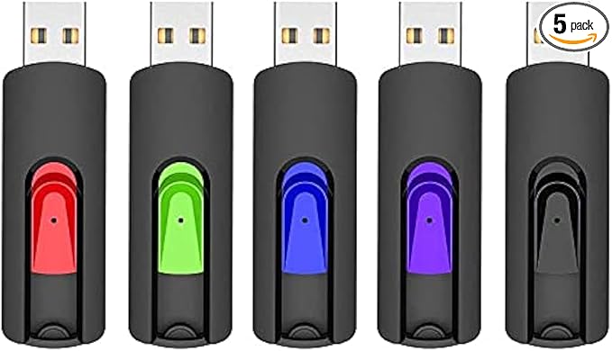 RAOYI 5 Pack 64GB USB Flash Drive, USB 2.0 Memory Stick Thumb Drives Jump Drive by RAOYI