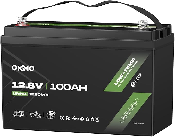 12V 100Ah LiFePO4 Lithium Battery, Built-in 100A BMS by OKMOBeYourHomePowerBackup
