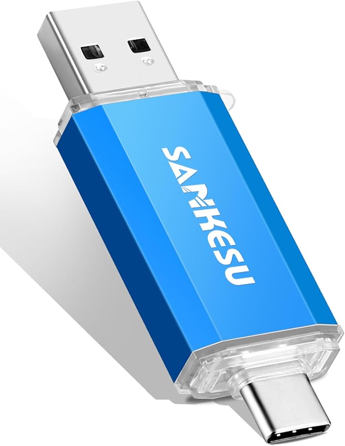 USB C Flash Drive 256GB Thumb Drive by SANKESU
