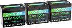 12V 100Ah Mini LiFePO4 Battery 3 Pack Group 24, 12 Volt Deep Cycle Lithium by Dyness