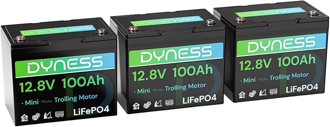 12V 100Ah Mini LiFePO4 Battery 3 Pack Group 24, 12 Volt Deep Cycle Lithium by Dyness
