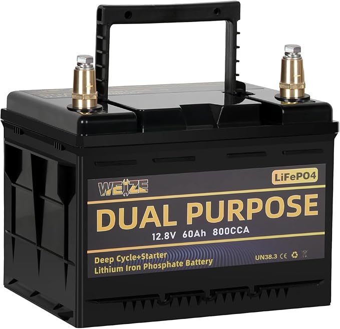 WEIZE 12V 60AH Dual Purpose LiFePO4 Lithium Battery, 800CCA Group 24 Group 34 by WEIZE