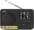 LeMega IR1S Internet Radio by LEMEGA