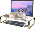 Keyboard Cat Protector by Czpeotas
