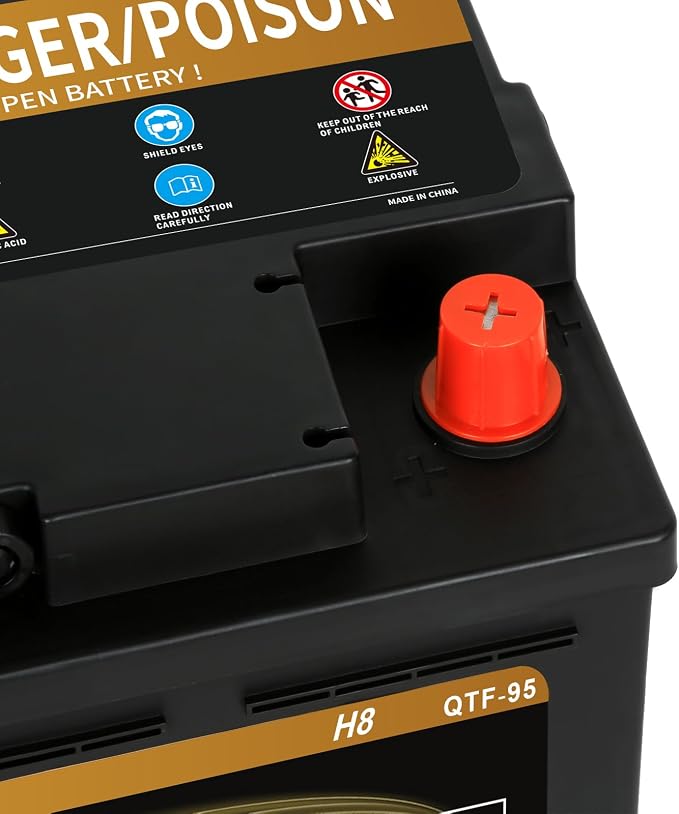 Weize Platinum AGM Battery BCI Group 49-12v 95ah H8 Size 49 Automotive Battery - Image 4