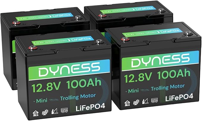 12V 100Ah Mini LiFePO4 Battery 4 Pack Group 24, 12 Volt Deep Cycle Lithium by Dyness