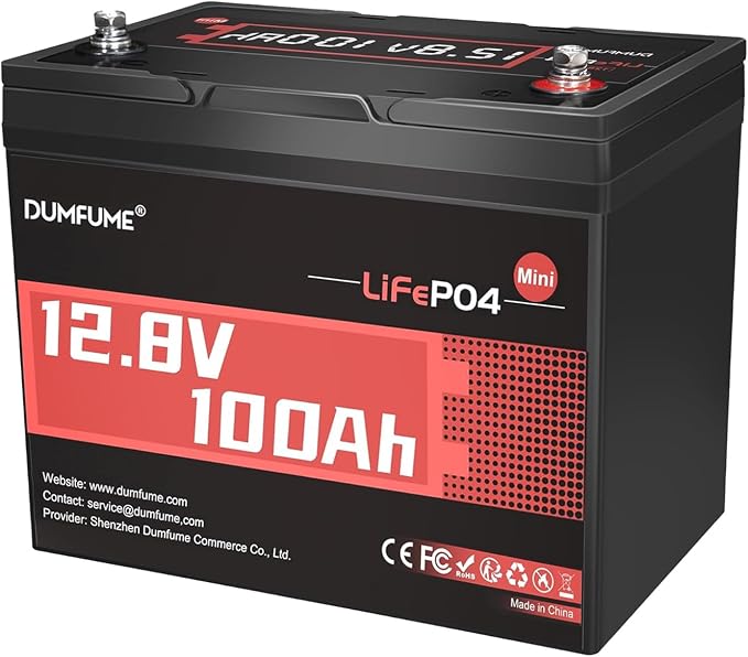 12V 100Ah Mini LiFePO4 Lithium Battery, Built-in 100A BMS, 1280Wh Deep Cycle by Dumfume