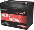 12V 100Ah Mini LiFePO4 Lithium Battery, Built-in 100A BMS, 1280Wh Deep Cycle by Dumfume