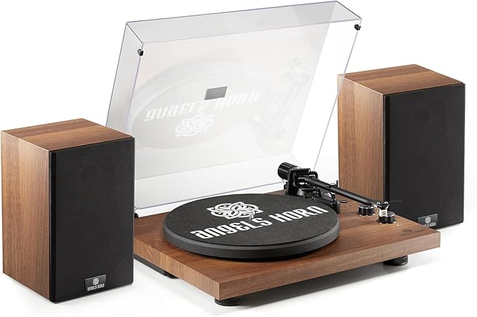 ANGELS HORN Vinyl Record Player, Hi-Fi System Bluetooth Turntable Players by ANGELSHORN