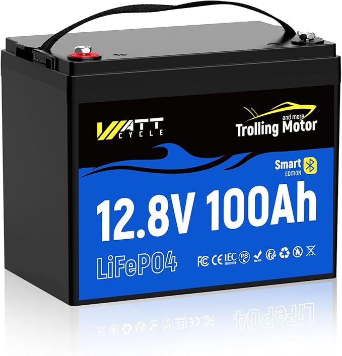 12V 100Ah TM LiFePO4 Lithium Battery, Group 24 by Wattcycle