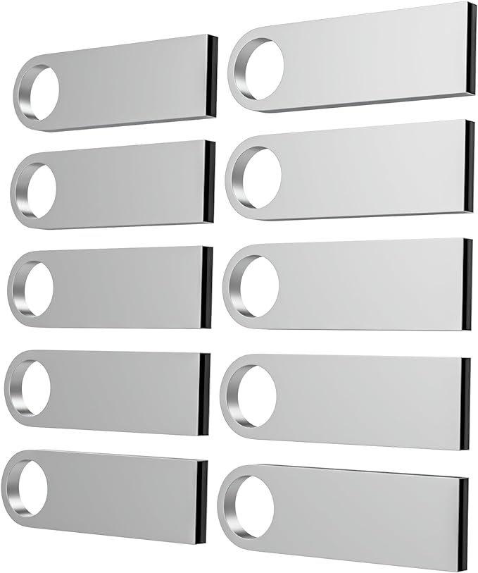 ABLAZE 1GB Flash Drive 10 Pack, Metal USB 2.0 Thumb Drives by ABLAZEGlobal