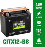Interstate Batteries YTX12-BS 12V 10Ah Powersports Battery 175CCA AGM - Image 3
