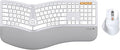 ProtoArc Ergonomic Wireless Keyboard Mouse, EKM01 Plus Full Size Ergo Bluetooth by ProtoArc