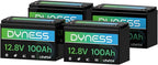 12V 100Ah LiFePO4 Lithium Battery BCI Group 31 by Dyness