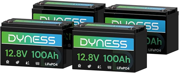 12V 100Ah LiFePO4 Lithium Battery BCI Group 31 by Dyness