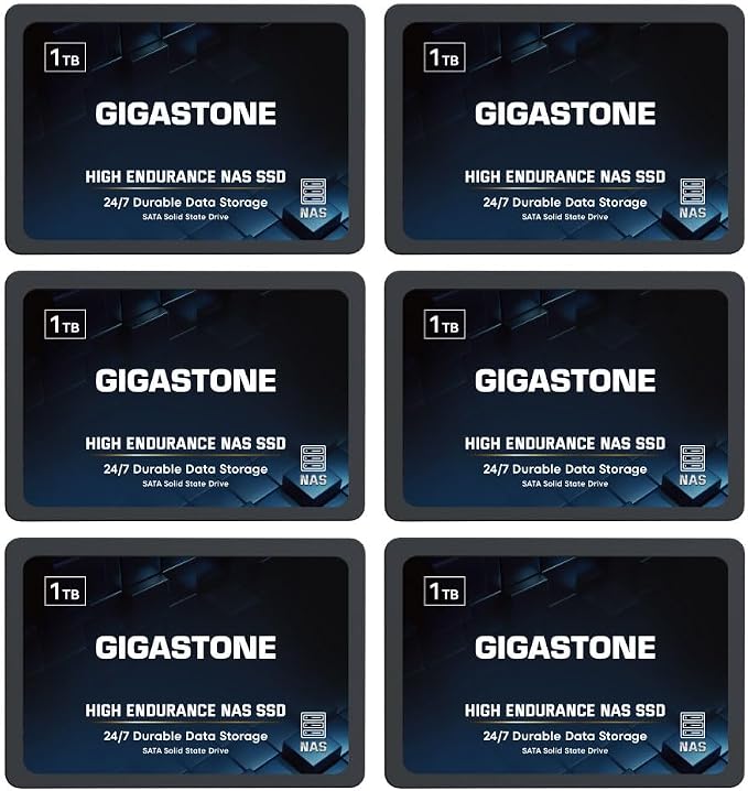 Gigastone 1TB NAS SSD Drive 24/7 Durable TLC High Endurance RAID Data Storage by Gigastone