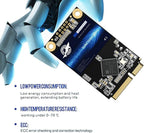 Dogfish mSATA SSD 1TB 3D NAND TLC SATA III 6 Gb/s, mSATA Internal Solid State - Image 3