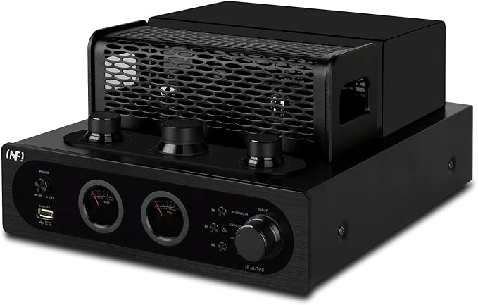 INFI Audio Hybrid Class AB Tube Amplifier 6N3 Power Amp - Image 2