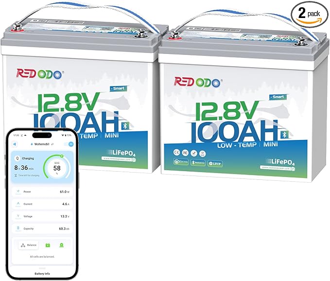 Redodo 12V 100Ah Smart Mini Bluetooth LiFePO4 Battery, Smallest Lithium by PrimeDayRedodoSaveup55