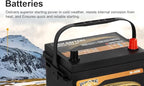 Weize Platinum AGM Battery BCI Group 35 Automotive Battery, 36 Months Warranty - Image 7