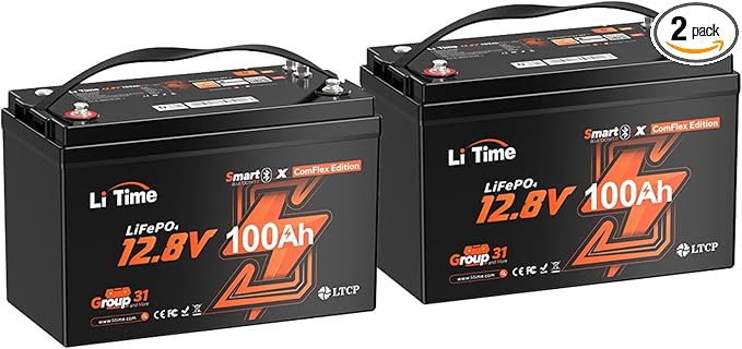LiTime 12V 100Ah LiFePO4 Group 31 Battery, Compatible by LiTime