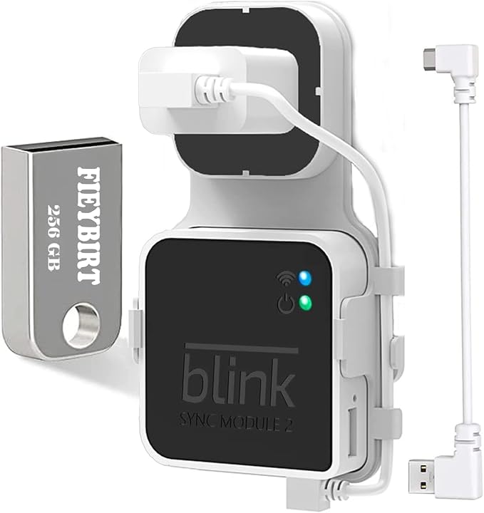 256GB Blink USB Flash Drive and Sync Module 2 Mount, Space Saving and Easy Move by FIEYBIRT