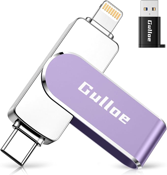 Gulloe 256GB Flash Drive Intended by Gulloe