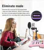 Podcast Equipment Bundle: SN800 Mixer - Image 8
